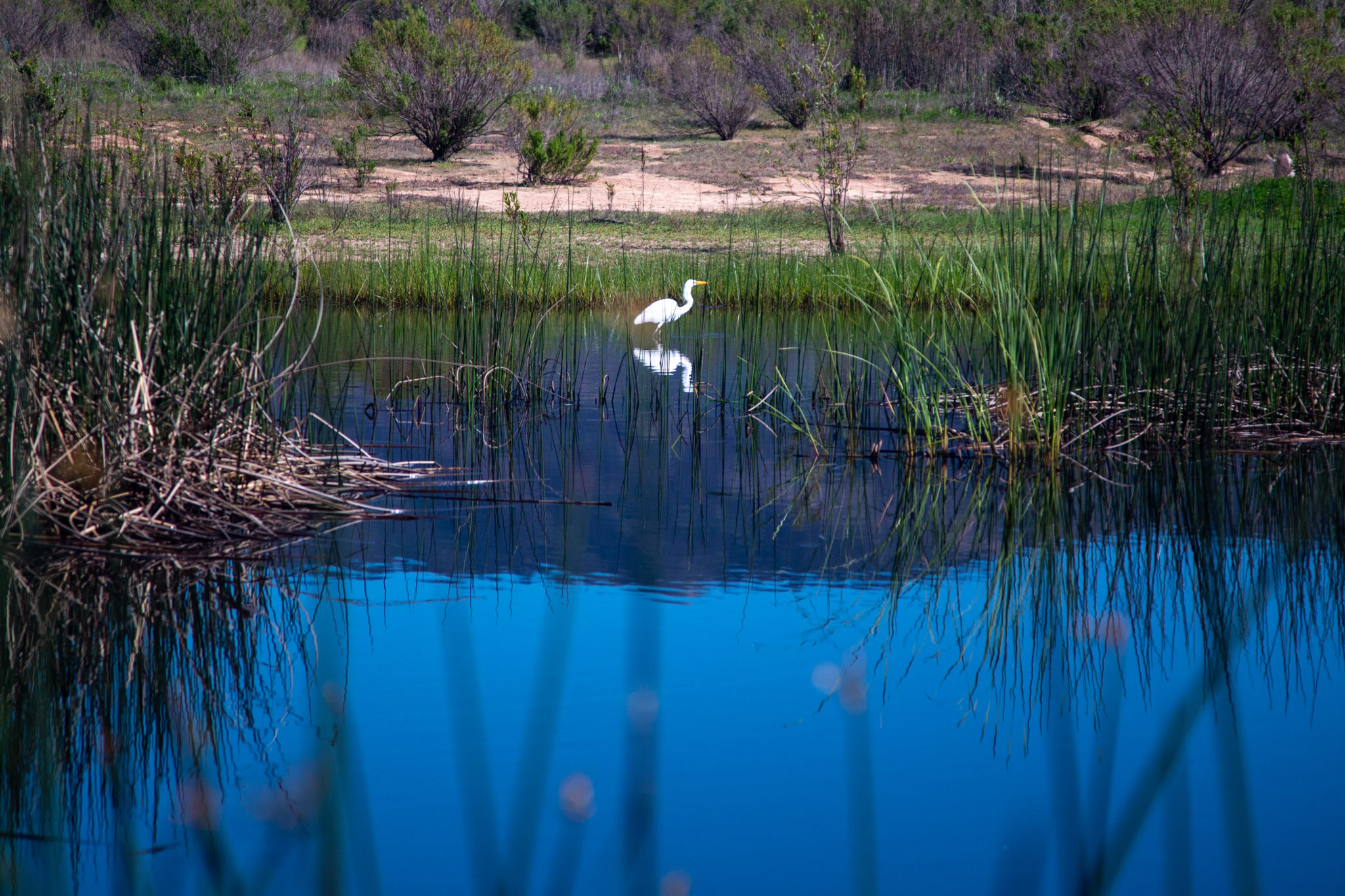 ECO-TIP: HOT TUB AT GOVERNMENT CENTER LINKED TO MOSQUITO CONTROL