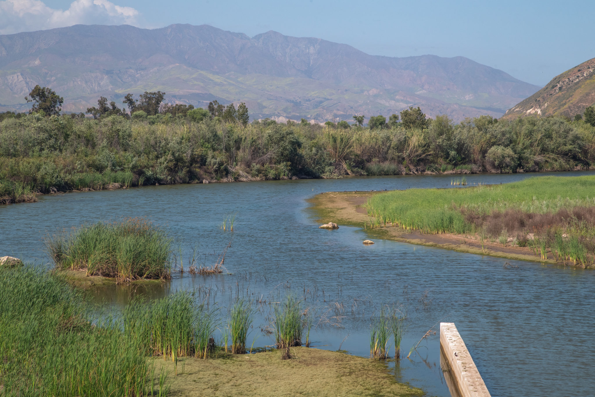 ECO-TIP: LET RAIN FLOW DOWN FOR RECHARGE