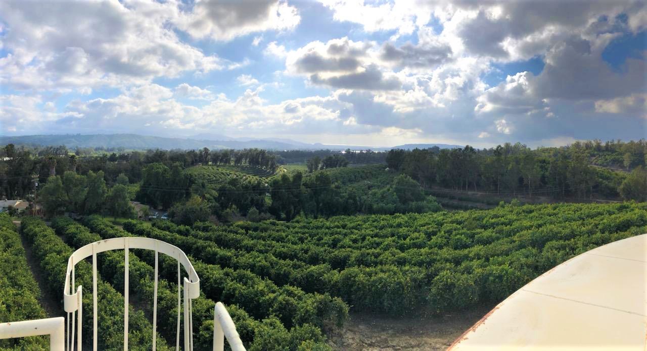 Water Tower District 19